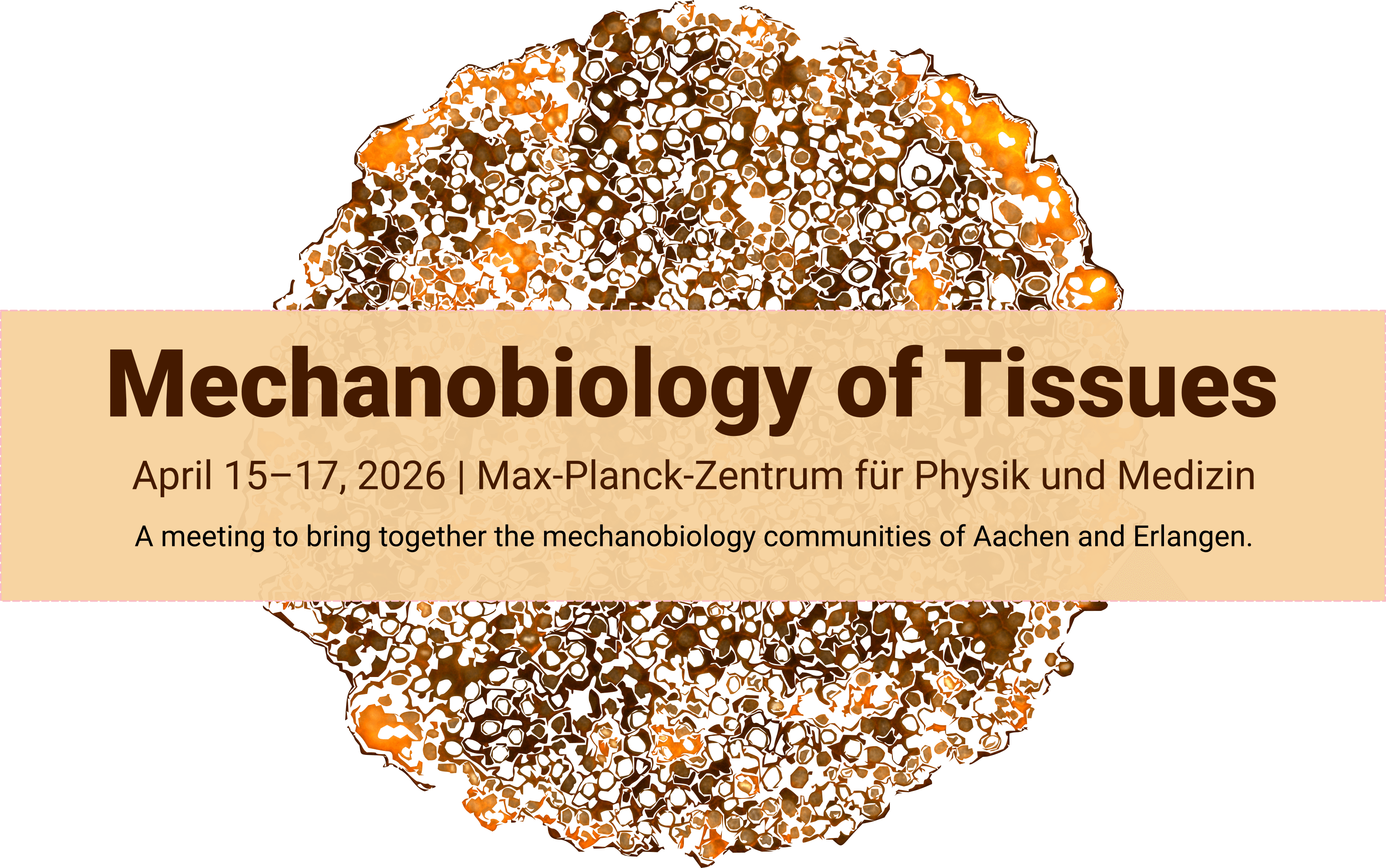 Mechanobiology of Tissues